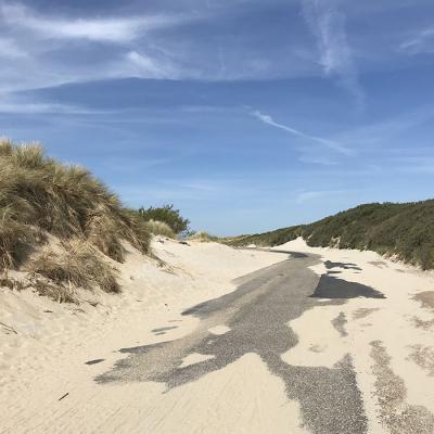 Ferienhaus Villa Seestern: Sand und Dünen
