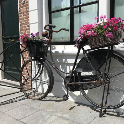 Ferienhaus Villa Seestern in Holland Umgebung - Zierikzee