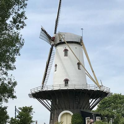 Ferienhaus Villa Seestern in Holland - Umgebung: Windmuehle